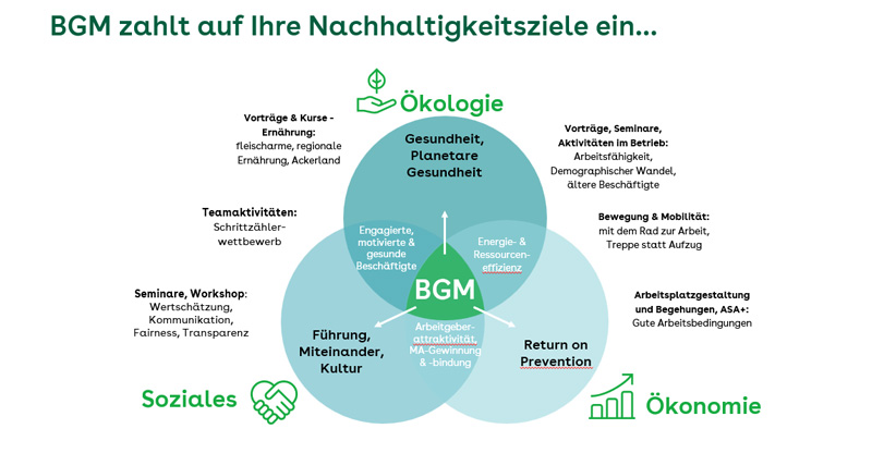 Dreiklang der Nachhaltigkeit in Verbindung mit Betrieblichem Gesundheitsmanagement