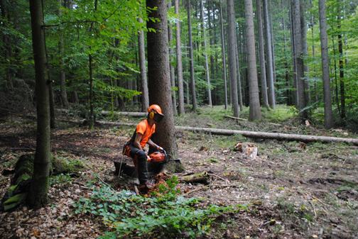 Waldarbeiter im Nationalpark Bayerischer Wald