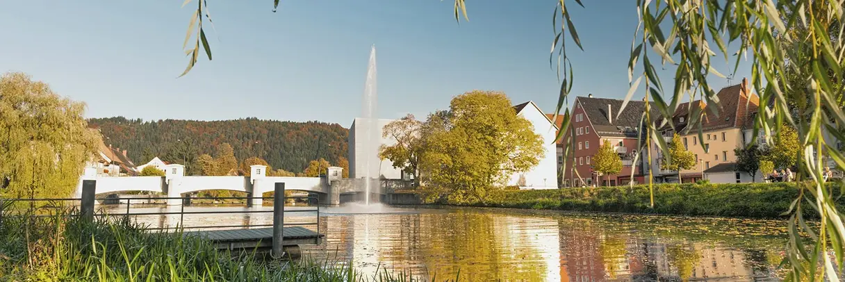 Das Bild zeigt ein Panorama von Tuttlingen im Süden Baden-Württembergs. 