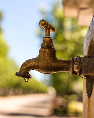 Abbildung eines öffentlich zugänglichen Wasserhahns, im Hintergrund befinden sich ein Weg und Bäume.