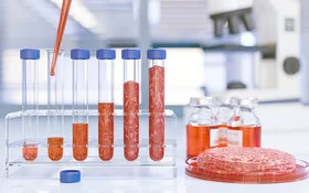 Eine Laborsituation mit Reagenzgläsern, die teilweilse mit In-vitro-Fleisch befüllt sind.