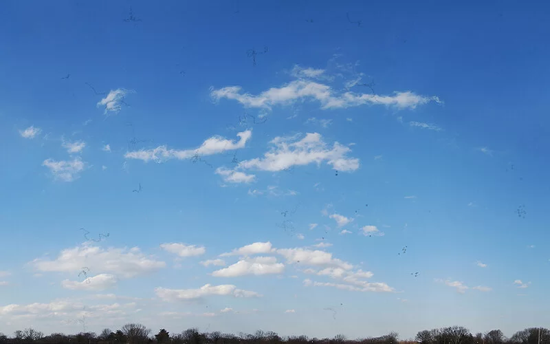 Einige weiße Wolken an einem blauen Himmel mit dunklen Flecken und Linien, die der Erscheinung von Mouches Volantes entsprechen.