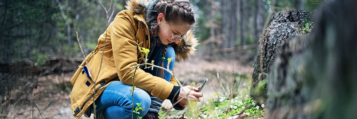 Ein Teenager-Mädchen, kniet vor einem Baumstumpf im Wald und macht Fotos mit Ihrem Mobiltelefon.