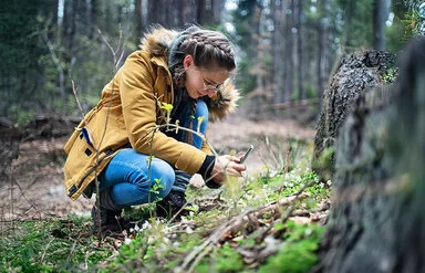 Ein Teenager-Mädchen, kniet vor einem Baumstumpf im Wald und macht Fotos mit Ihrem Mobiltelefon.