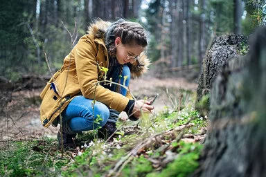 Ein Teenager-Mädchen, kniet vor einem Baumstumpf im Wald und macht Fotos mit Ihrem Mobiltelefon.