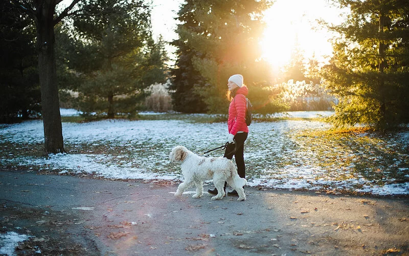 Eine junge Frau in Winterjacke und Mütze geht mit ihrem Hund durch einen schneebedeckten Park. Die Abendsonne scheint durch die Bäume.