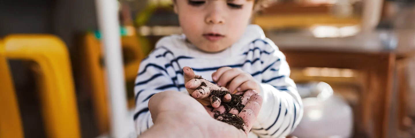 Ein kleiner Junge nimmt aus der Hand eines Erwachsenen Erde und Samen.