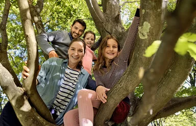 Eine Familie mit zwei Kindern ist in einen Baum geklettert und lächelt nun herunter in die Kamera. Der dunkelhaarige Vater trägt ein graues Hemd und einen Vollbart. Die Mutter trägt ein schwarz-weiß gestreiftes T-Shirt und darüber ein offenes Jeanshemd, ihre dunkelbraunen Haare trägt sie in einem Pferdeschwanz. Die beiden Töchter sind ebenfalls dunkelhaarig. Eine trägt ein rosa T-Shirt, die andere ein rosa-schwarz gestreiftes Langarm-Shirt, eine dunkelrote Shorts und eine rosa Strumpfhose. 