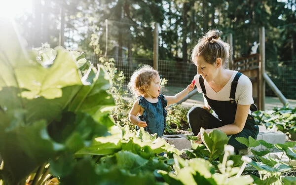 Kleines Kind und Mutter ernten frische Erdbeeren aus dem eigenen Garten.