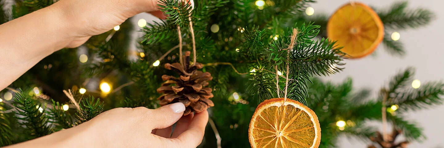 Frauenhände hängen Weihnachtsschmuck an einen Tannenbaum.