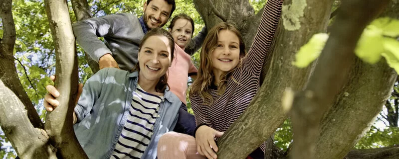 Eine Familie sitzt auf einem Baum. Mann, Frau und zwei Schulkinder