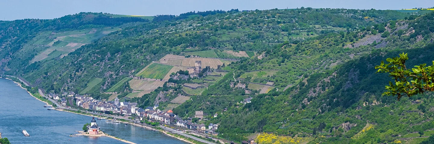 Blick auf den Rhein im Rheingau