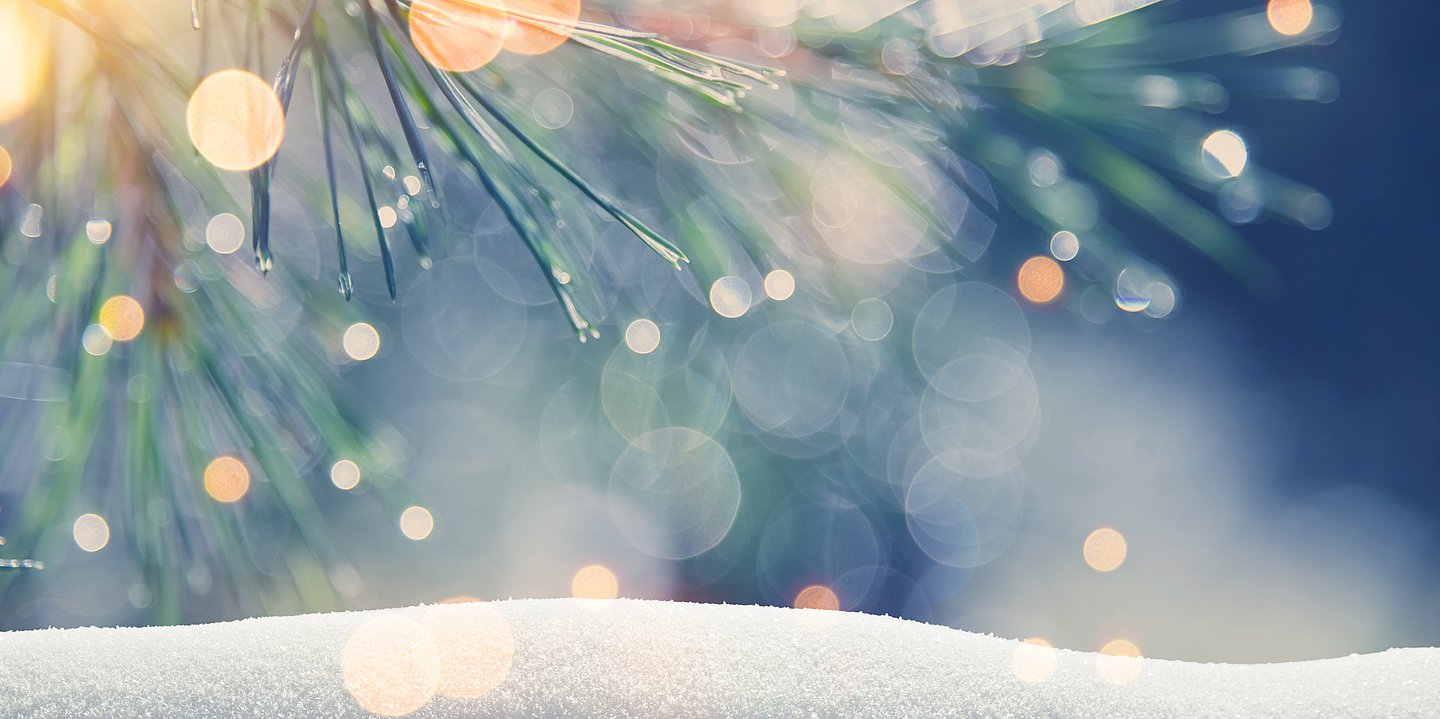 Das Bild zeigt einen Tannenzweig in Nahaufnahme und Weichzeichner mit Lichtreflexen, darunter eine leichte Schneedecke