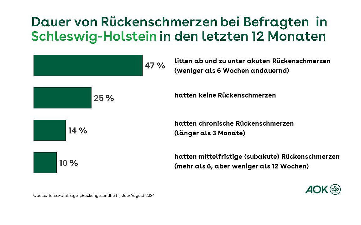 Die Grafik zeigt, wie lange Betroffene in Schleswig-Holstein unter Rückenschmerzen leiden.