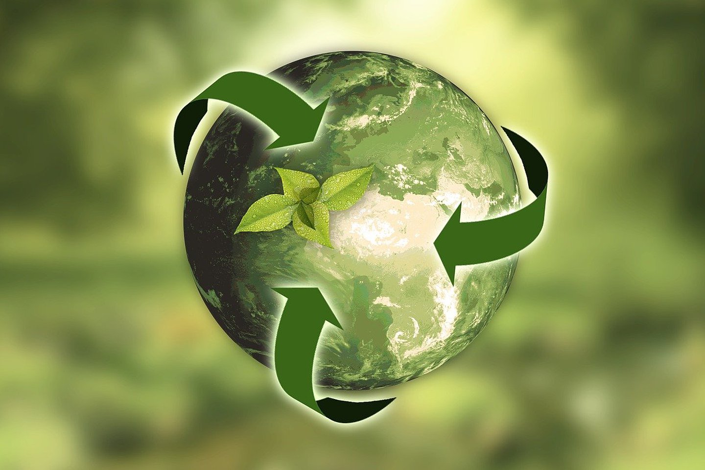 Symbolbild zum Thema Nachhaltigkeit
