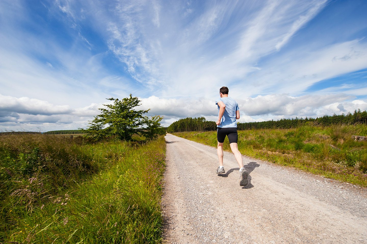 Ein Jogger läuft auf einem Feldweg in die weite Landschaft hinein.