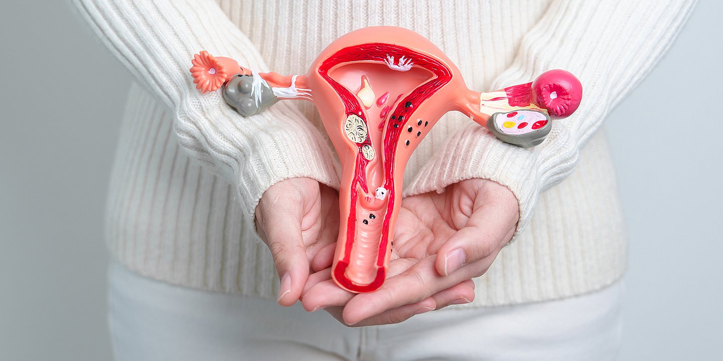 Foto: Ein Frauenhand hält eine Organnachbildung einer Gebärmutter vor ihren Unterbauch.