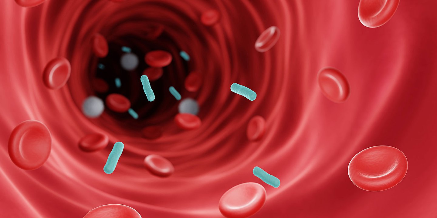 Foto: Illustration eines Blutkreislaufs mit Bakterien.