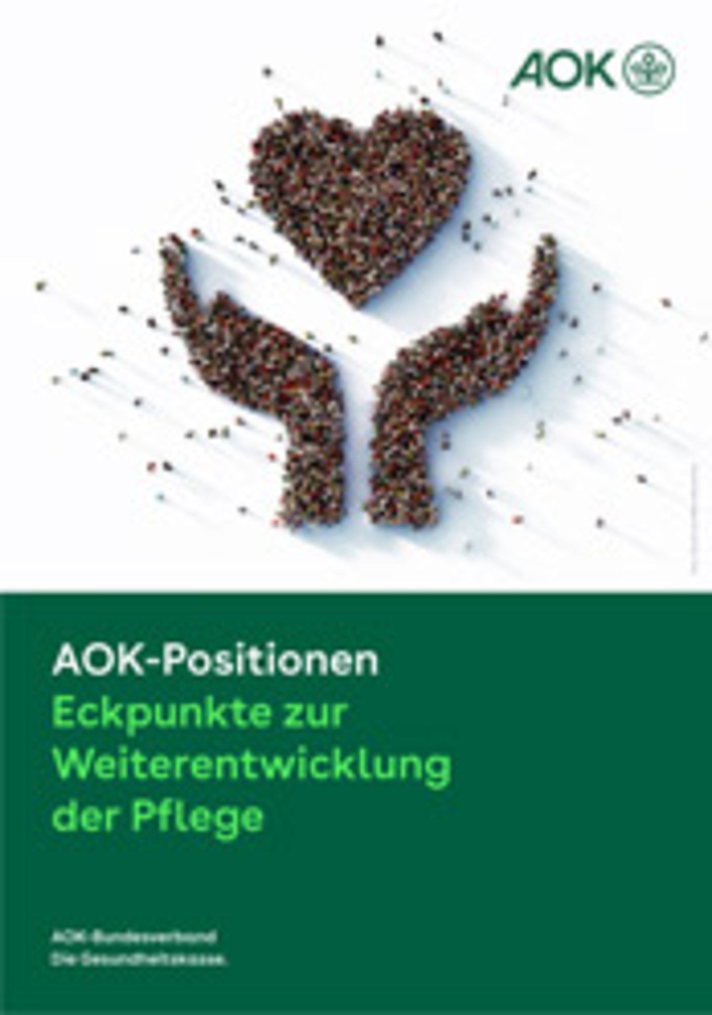 Titelbild AOK-Positionen