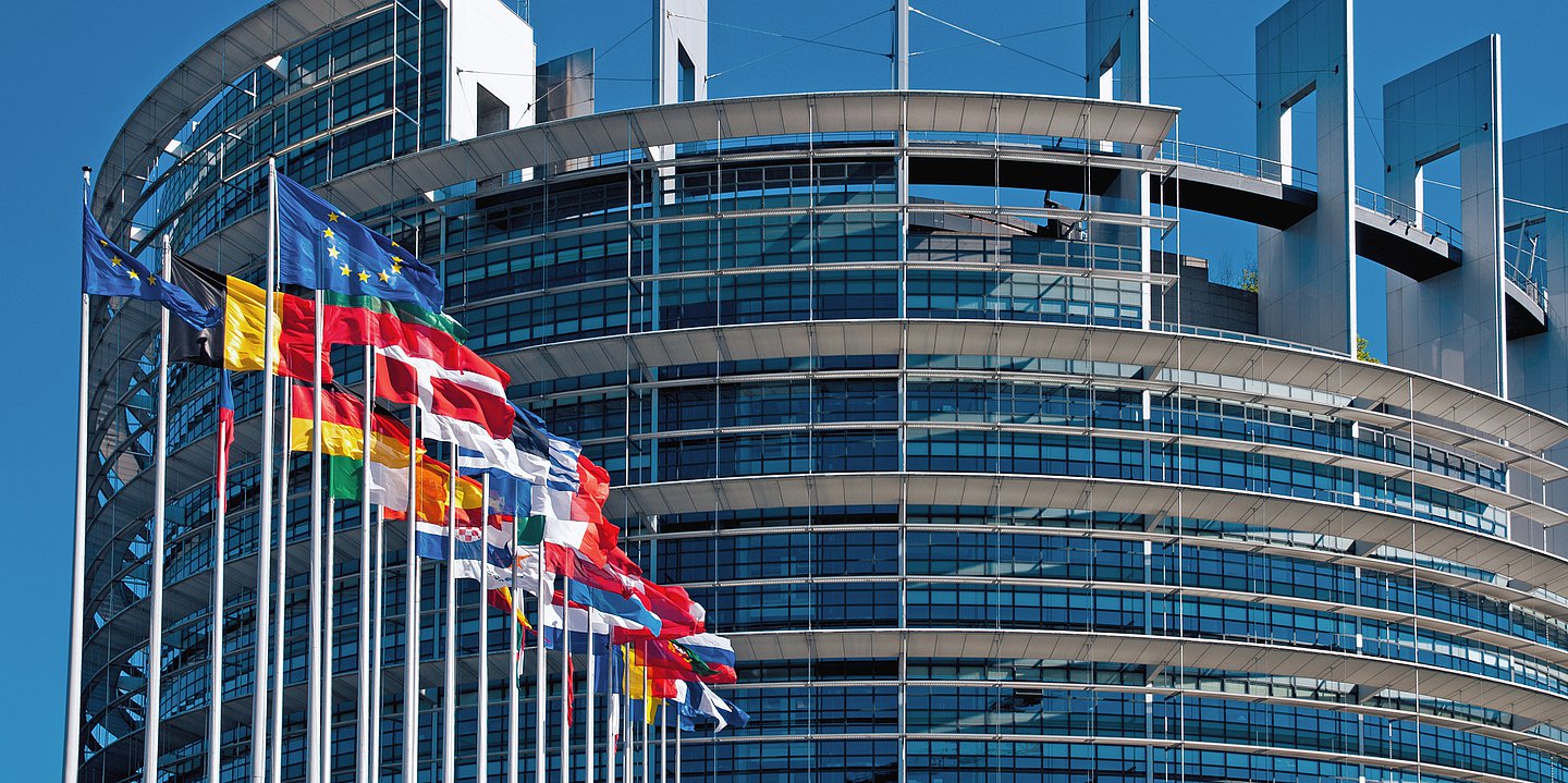 Flaggen der EU-Staaten vor dem Gebäude des EU-Parlaments in Straßburg