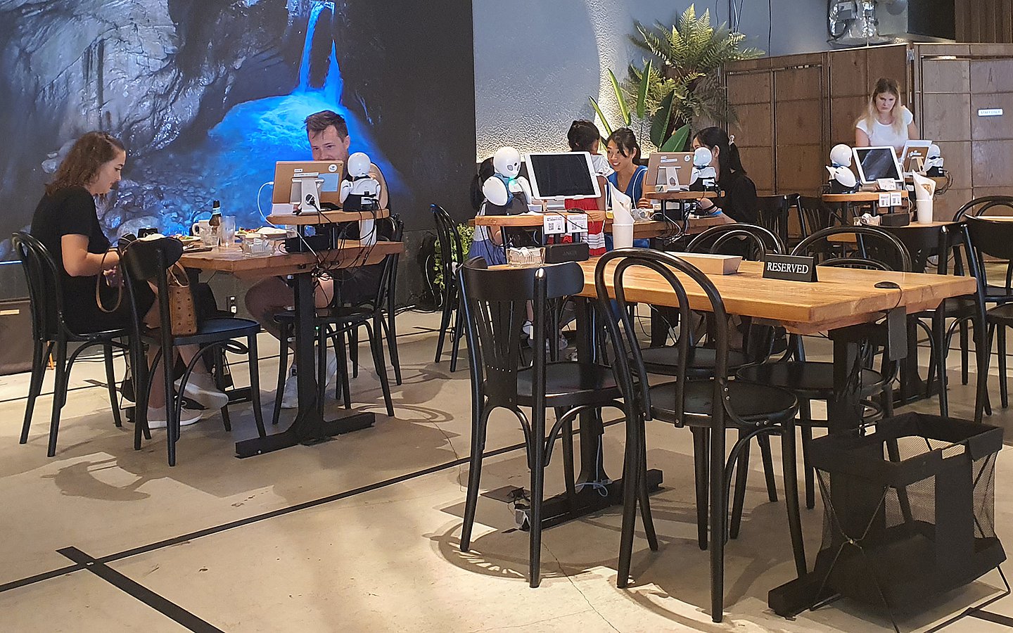 Foto von Gästen des Robotercafés. Auf den Tischen befinden sich Computer und kleine Miniaturroboter.