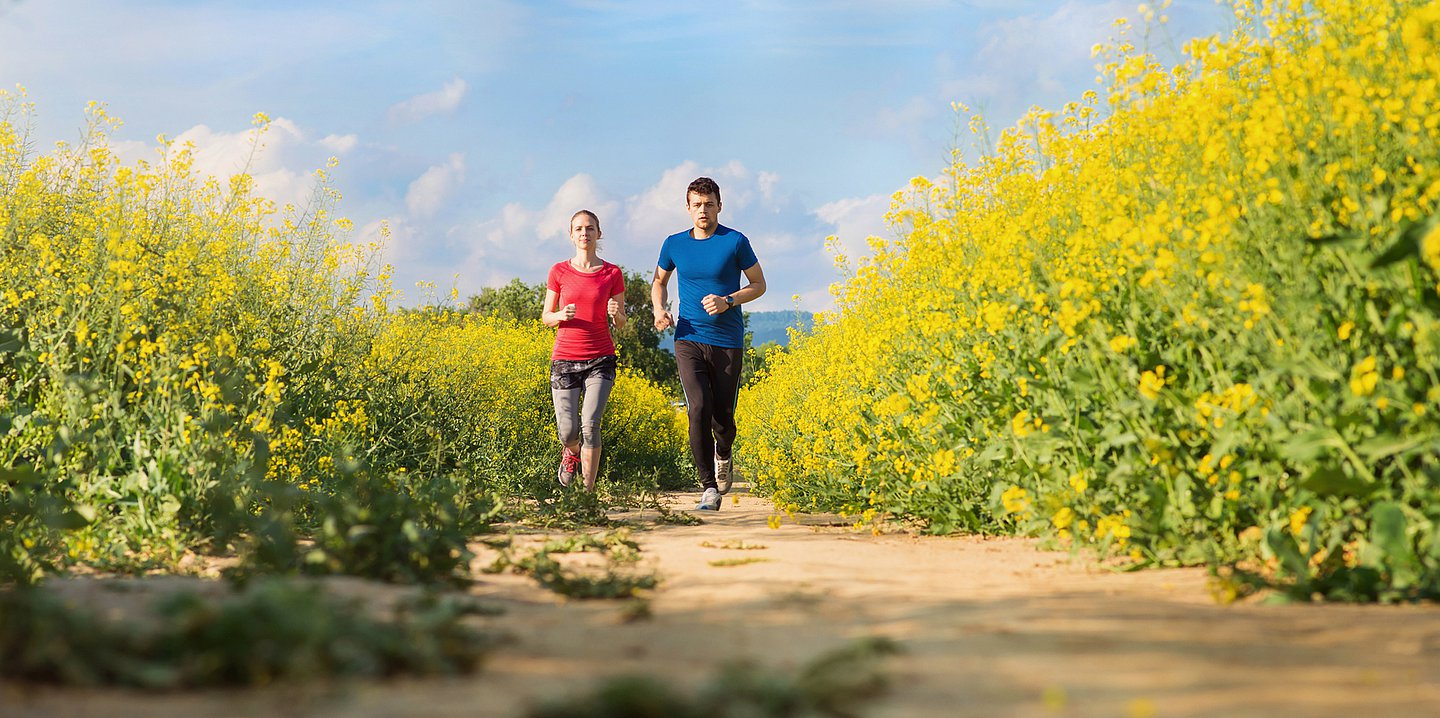 Das Foto zeigt einen Mann und eine Frau, die entlang von blühenden Rapsfeldern joggen.